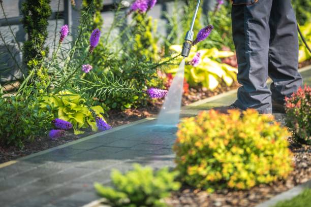 Best Parking Lot and Garage Cleaning  in Shokan, NY