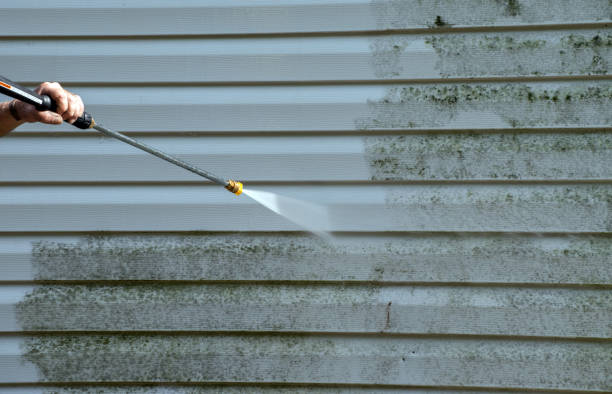 Best Patio and Deck Pressure Washing  in Shokan, NY