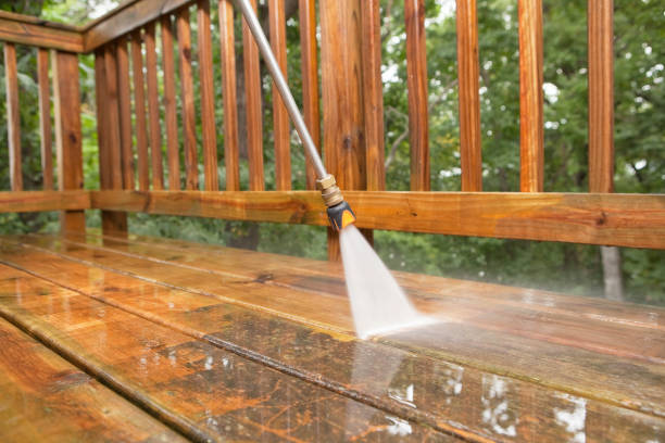 Best Dumpster Area Cleaning  in Shokan, NY